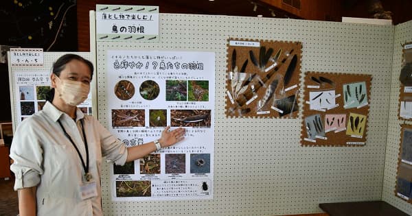 〝落とし物〟から動植物の生態学ぶ　秦野で丹沢の森題材に企画展