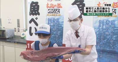 寿司で人気の魚から栃木と海の関係学ぶ　海と日本プロジェクト