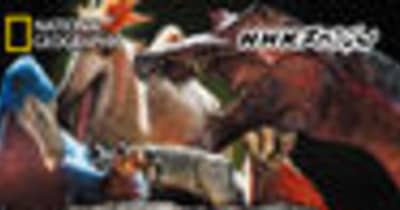 『NHKスペシャル 恐竜超世界 IN JAPAN』発売中！ 　 新発見が続々！日本の恐竜界が熱い！
