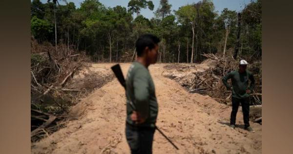森林破壊を放置するブラジル当局　調査で明らかに