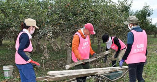 「少しでも力になりたい」青森県内外からボランティア　冠水リンゴ園片付け開始／弘前