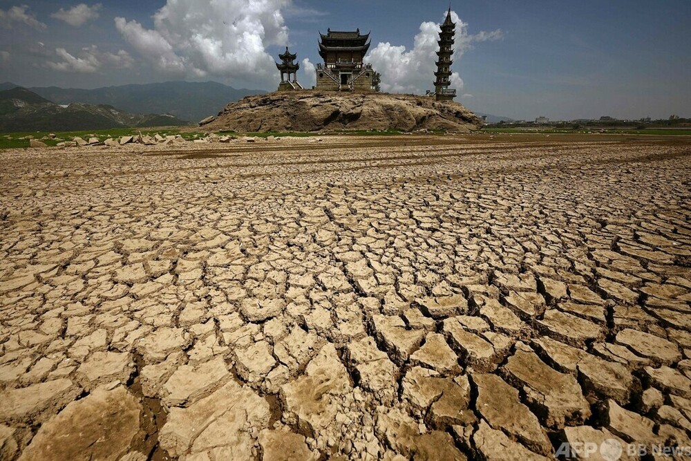 中国で観測史上最悪の熱波、秋の収穫に「深刻な脅威」
