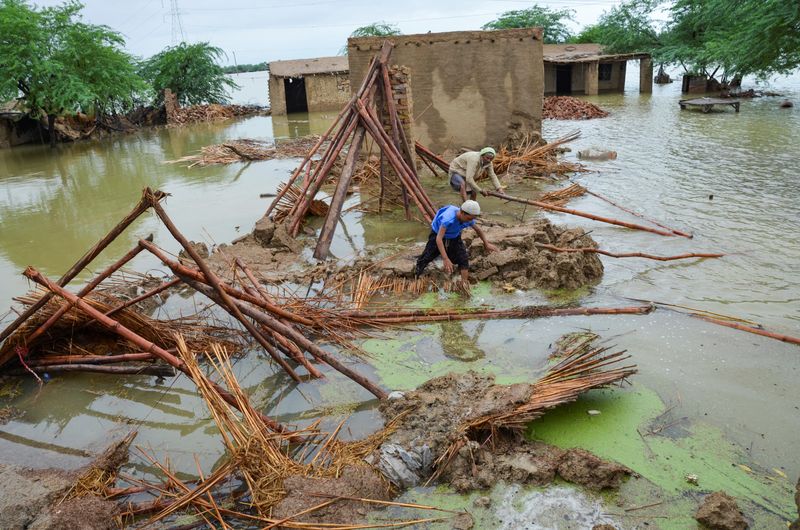パキスタン、洪水で3000万人強に影響＝気候変動相
