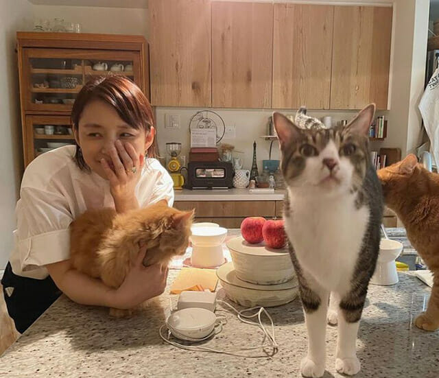 石田ゆり子、星野源ラジオでの「豚野郎」練習に愛猫も驚き隠せず
