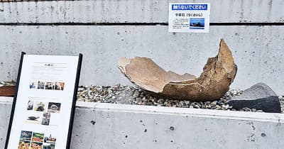千草石ＦＭＭで展示　上越地方の代表的石材　妙高市の石材店協力