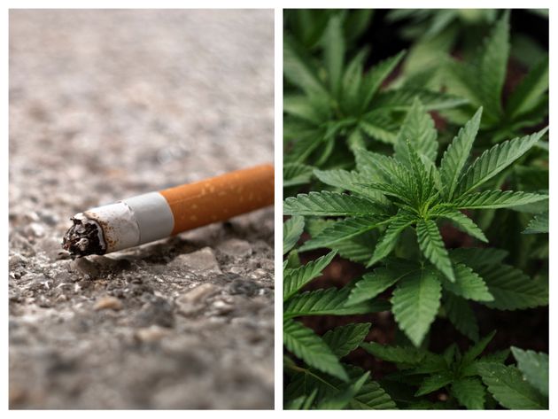 大麻使用率、ついにタバコを上回る　アメリカ