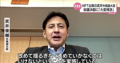 武井俊輔外務副大臣　NPTを終えて　単独インタビュー