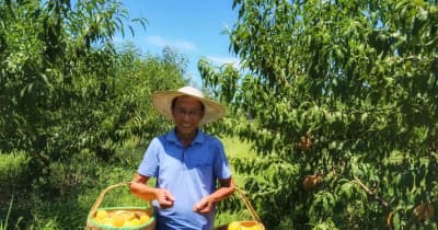 干ばつに見舞われた果樹農家を支援　湖北省崇陽県