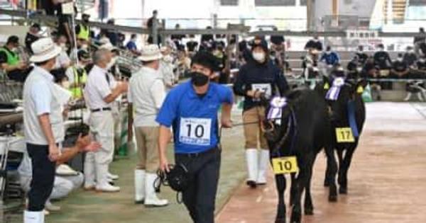 みか、すみれひめ、忠雄10月の鹿児島全共 県代表24頭出そろう　5年に1度の“和牛のオリンピック”で日本一目指す