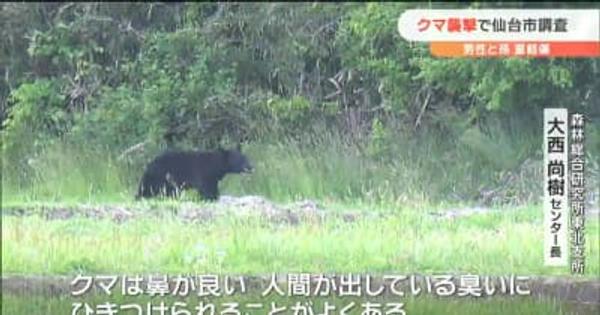 仙台でクマ被害相次ぐ　クマに遭遇しないためには？ポイントは“匂い”