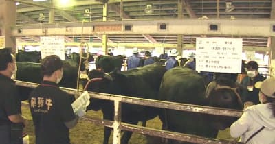 全国和牛能力共進会 岐阜県代表の肉牛決まる