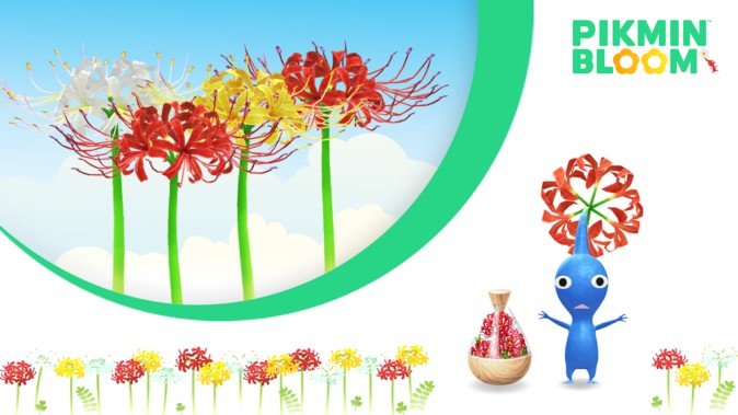 【ピクミン ブルーム】9月の花は「ヒガンバナ」、コミュニティ・デイの情報も公開