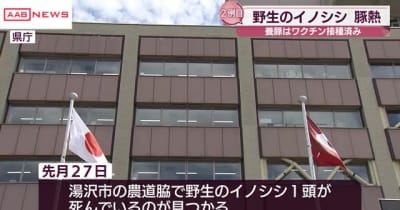 湯沢市で野生のイノシシ豚熱確認　秋田県内で2例目