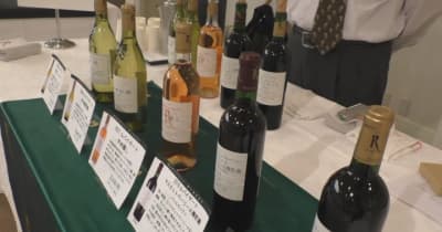 大阪で山梨県産ワイン商談会　2025年の大阪・関西万博を見据えおよそ100種類の山梨県産ワイン売り込み