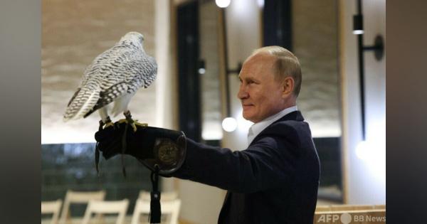 プーチン氏、極東の鳥類保護施設を訪問