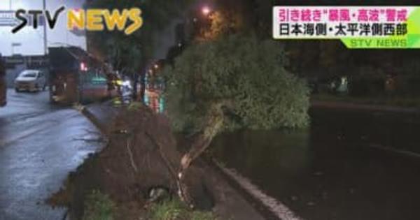 【暴風で倒木相次ぐ】台風１１号の影響　日本海側と太平洋側西部高波に警戒