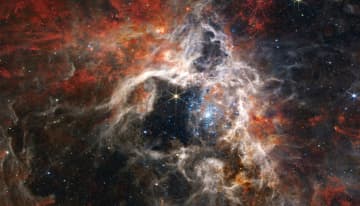 タランチュラ星雲の新画像公開　Jウェッブ宇宙望遠鏡で撮影
