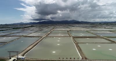 中国最大のウナギ養殖・輸出拠点を訪ねて　広東省台山市