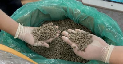 湖南省、初の直行便方式でアフリカからコーヒー豆を輸入