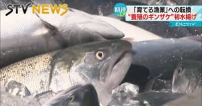 養殖“ギンザケ”初水揚げ　育てる漁業へ転換　釧路市