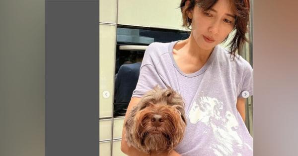 工藤静香、「眠〜く眠くなる」動画を公開　愛犬を丁寧にブラッシング