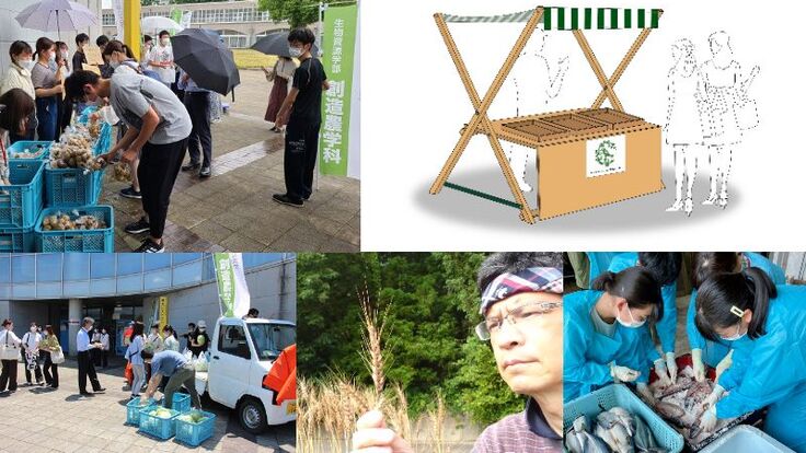 福井県立大学が県産農産物PR「マルシェ」開催へ　クラウドファンディング開始