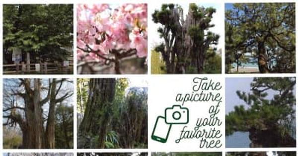「＃わたしのこころの名木」 Instagram投稿フォトコンテストのご案内