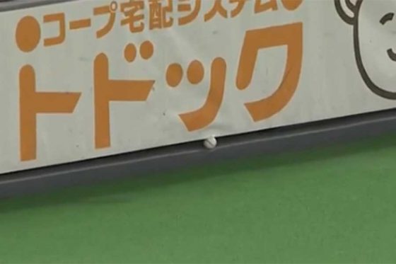 札幌ドームでフェンスに打球が挟まる珍事　ファウルゾーンへの高部の痛烈な打球