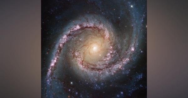 愛称はスパニッシュダンサー、ハッブルが撮影した渦巻銀河「NGC 1566」