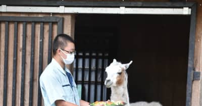 ラマ「タケコ」の長寿を祝う　宇都宮動物園で敬老会