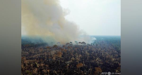 アマゾン熱帯雨林の火災、すでに昨年上回る多さ ブラジル