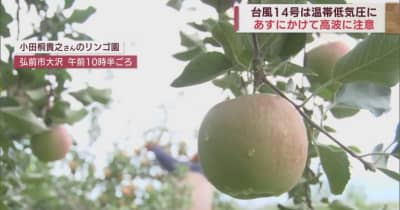 台風14号は温帯低気圧に　青森県内に大きな被害なく　リンゴ農家は安堵