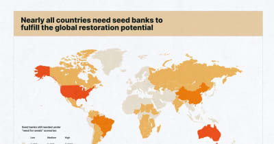 世界的な種子不足と森林再生の規模拡大に取り組む新たなアライアンスが発足