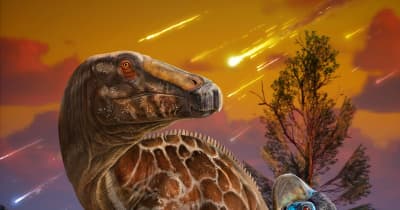 中国の科学者、恐竜卵の研究から絶滅の新たなメカニズムを解明