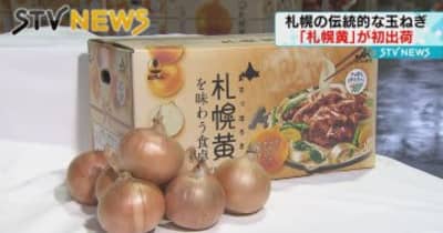 【伝統の玉ねぎ】甘さと辛さのバランスが良い札幌の伝統的な玉ねぎ「札幌黄」が初出荷
