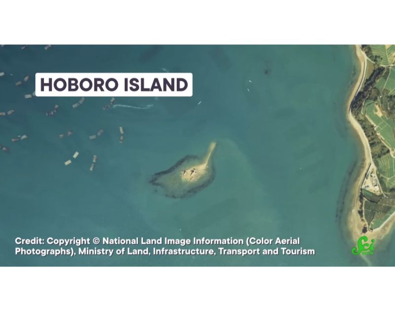 消滅寸前の日本の島「ホボロ島」　その原因は「虫に食べられて」