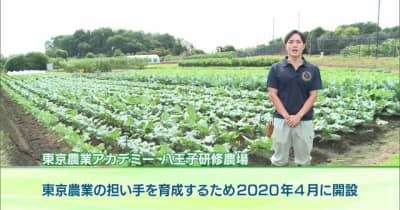 東京で農家になりたい！東京農業の担い手を育成する「東京農業アカデミー八王子研修農場」研修生募集