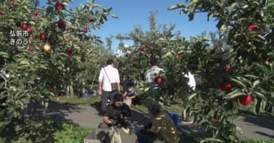 リンゴ農家の人手不足解消へ　弘前市で初心者向けの農作業研修会