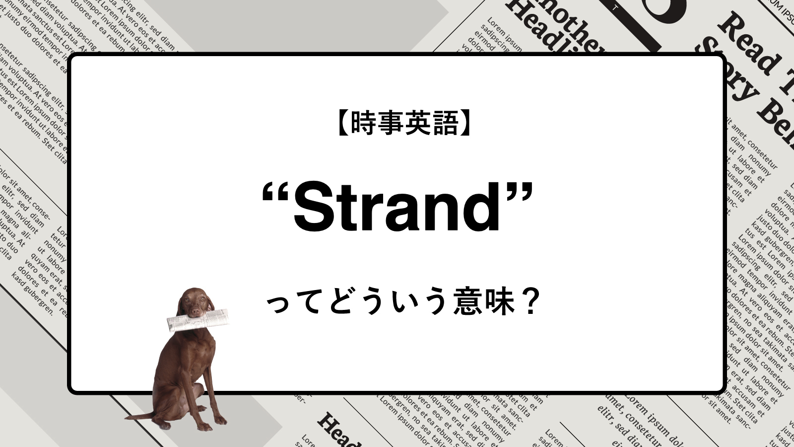 【時事英語】“Strand” ってどういう意味？ | ニュースの「キーワード」で語彙力を身につける