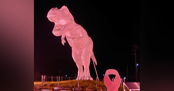 ピンク恐竜が乳がん啓発、10月は「ピンクリボン月間」　福井県勝山市の団体がモニュメント点灯、友人の発病きっかけ