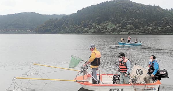 ブラックバス1777匹捕獲　電気ショッカーボートを初導入　栗原・花山湖
