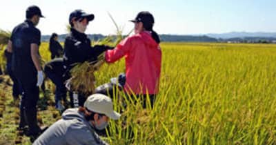 「浪江復興米」収穫！東京農大生とアイリスオーヤマ社員稲刈り