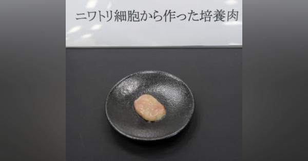 日本ハム「培養肉」主成分を開発　商用化へ前進