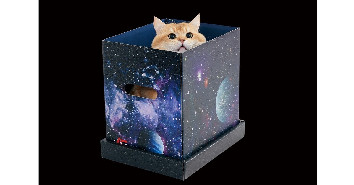 ネットミーム「宇宙猫」を再現できる箱　月刊ムーがペット通販とコラボ