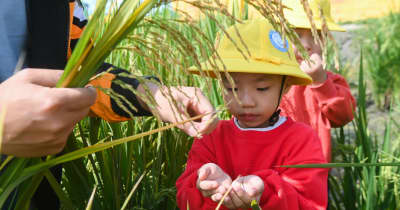 世界食料デーを前に園児が田んぼを見学　浙江省湖州市