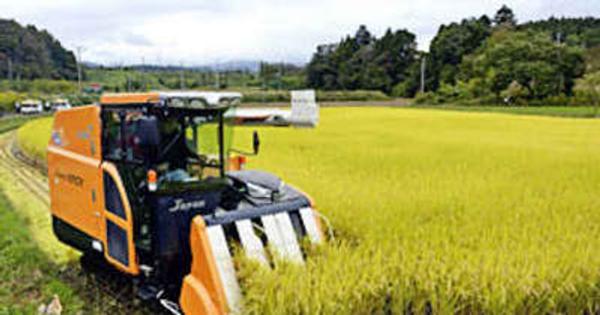 富岡・復興拠点で「稲刈り」　避難指示解除に合わせ営農再開へ