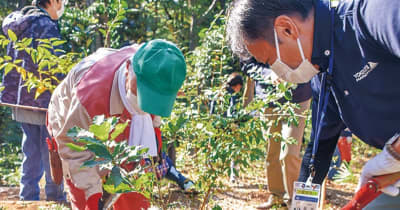 コナラ植樹で森の再生を 鴨居原市民の森で催し　横浜市緑区