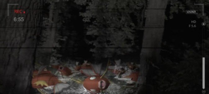 ポケモンgo 森の奥ではねる大量のコイキングtwitterで意味深な映像が公開