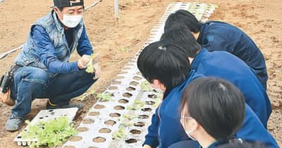 畑を子供の居場所に　不登校特例校と連携し体験提供　ＪＡ東京青壮年組織協