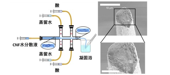 東京大学ら、熱伝導率が極めて高いCNF糸を開発
